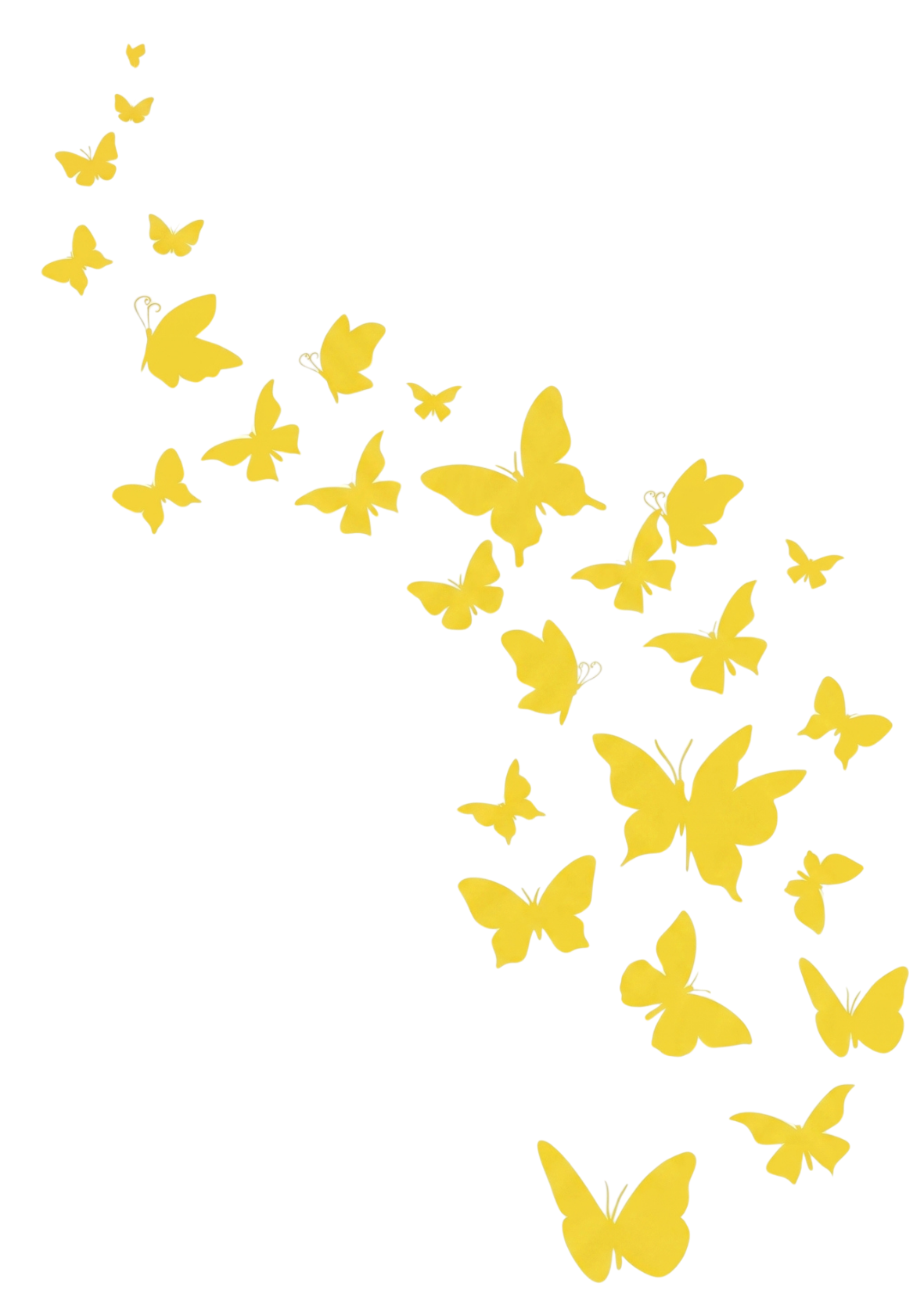 Mariposas Ecofresh